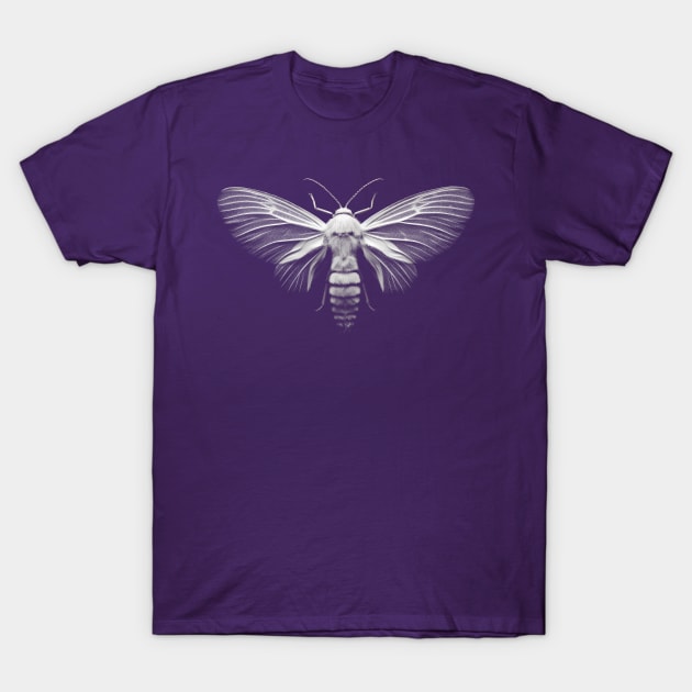 White Moth T-Shirt by KalebLechowsk